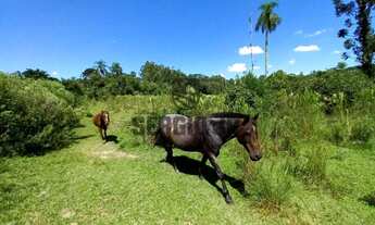 Imagem 6: Sítio com 3,8h, casa, galpão e açudes em Triunfo - Aceito casa em Canoas ou Montenegro
