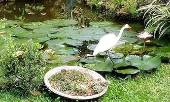 Imagem 5: LINDA CASA 5 SUÍTES VARGEM GRANDE VERDADEIRO PARAÍSO 1250 m TERRENO 456 de área construíd