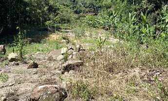 Imagem 7: Chácara por apenas R$300.000,00