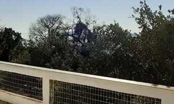 Imagem 5: Casa à venda Rua Alfredo Inácio da Silveira, Belém Novo - Porto Alegre