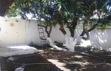 Imagem 4: CASA MOBILIADA NA MASSAGUEIRA, MARECHAL DEODORO AL