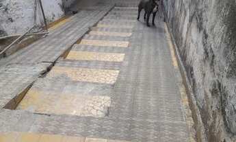 Imagem 2: Casa Independente à 5 minutos do Metrô Jabaquara apé