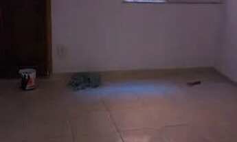 Imagem 3: Aluga-se apartamento