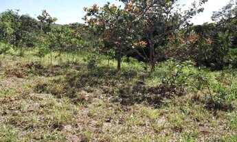 Imagem 7: Chácara de 1.700m² poço de peixe, toda cercada, São Jose do Almeida (Temos varias opções)