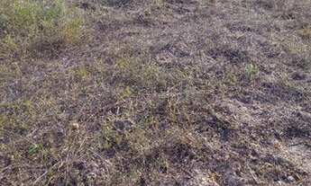 Imagem 3: Terreno mini chacara medino 200m2 localizado em sao jose no loteamento jardim imperia