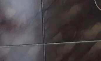 Imagem 6: Aluga-se Casa no Sacramento