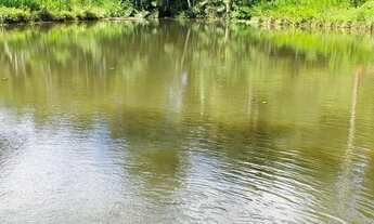 Imagem 3: Lindos 24200 mts com cachoeira própria 480 mil reais