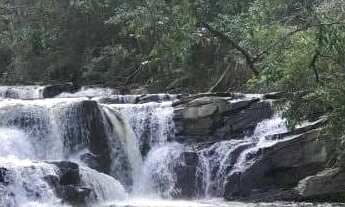 Imagem: Chacara Cocalzinho de Goias na beira do