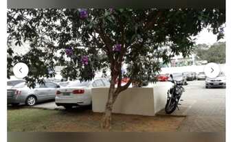 Imagem 7: SAO PAULO - Apartamento Padrão - CAMBUCI