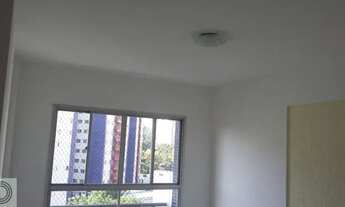 Imagem: Apartamento reformado. Rico em armários