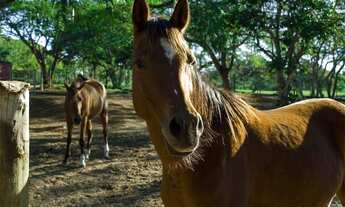 Imagem 6: Sítio à venda em Armação dos Búzios