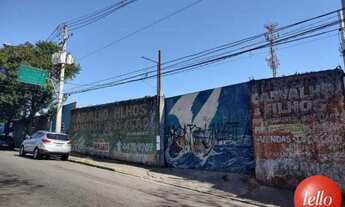 Imagem 4: Santo André - Terreno Padrão - Jardim Maravilhas