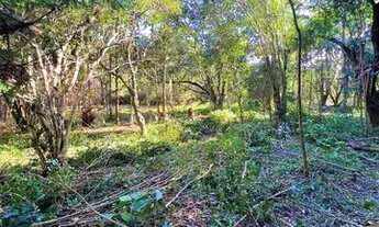 Imagem 7: Sítio Com Entrada De 4.900 E Parcelas De 650. ROB:93