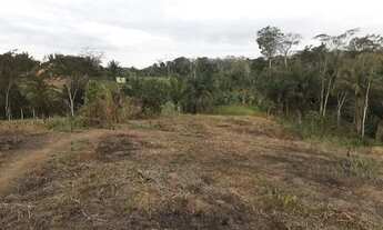 Imagem 4: Vendo terreno no Apolônio Sales mede 12por 35