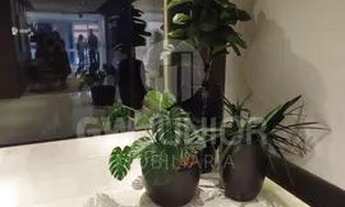 Imagem 5: Joinville - Apartamento Padrão - América