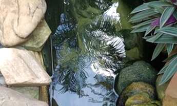 Imagem 5: Casa para venda no Antonio Palocci, Zona Leste, 3 dormitorios, varanda gourmet com churras