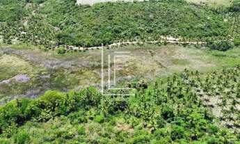 Imagem 4: Área de 40.000m² para venda em Jequiá da Praia - AL
