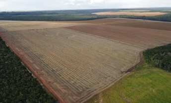 Imagem 4: Fazenda 6.402 hec em nova motum MT. 150 milhões
