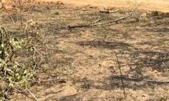 Imagem 4: Terreno 500m² em Vianópolis - Betim