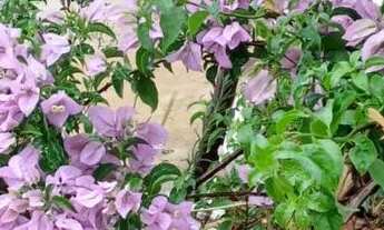 Imagem 7: Vendo chácara em Fonseca próximo a nova esperança mg