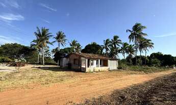 Imagem 5: Vendo sítio no interior de Japoatã - Se