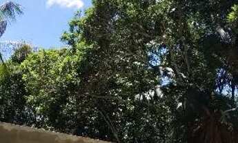 Imagem 4: Sítio fácil acesso