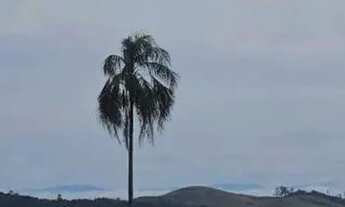 Imagem 3: Terreno com Vista e Acesso