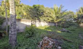 Imagem 6: Terreno com área de 2.325 m²