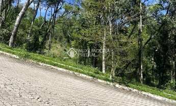 Imagem: Loteamento Bosque das Araucárias - Linha