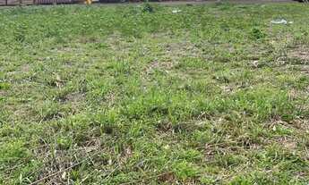 Imagem 5: Terreno à venda, Jardim Buenos Aires - Foz do Iguaçu/PR