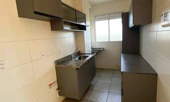 Imagem 4: Palmeira Dourada - 105 Norte