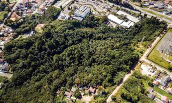 Imagem 4: Terreno no Abranches com 11.659 m²