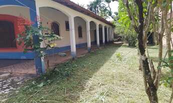 Imagem: Disponível para Natal e Ano Novo