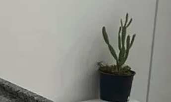 Imagem 5: Excelente Apartamento a 300 m do Caruaru Shopping