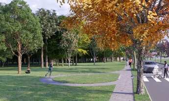 Imagem 5: Vinhas Parque Évora