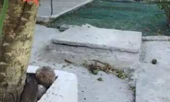 Imagem 6: Casa mobiliada 2 quartos próximo praia barra de jangada 1.300