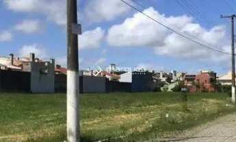 Imagem 4: Terreno Pelotas RS brasil