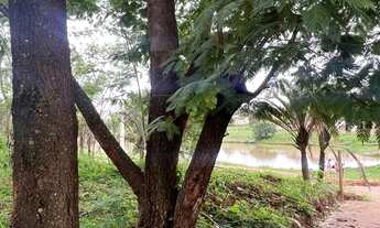 Imagem 3: LOTES À VENDA EM GOIANIRA Lote à Venda, 351.05 por R$ 78000.00 no setor Parque DAS CAMELIA