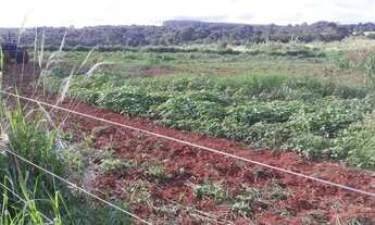 Imagem: Chacara para venda 3,5 alqueires em Zona