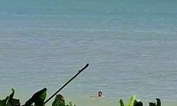 Imagem: Temporada Rio das Ostras