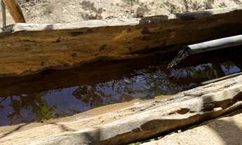 Imagem 4: 2 Alqueires Chácara com venda por R$450.000