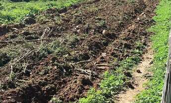 Imagem 2: Fazenda à Venda em São João dAliança (GO) 120 Alqueires