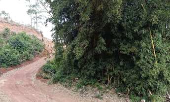 Imagem 6: Vendo sitio15.000m² valor 79.999