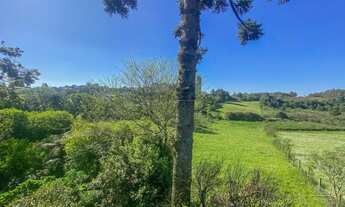 Imagem 6: Terreno,bairro Forqueta