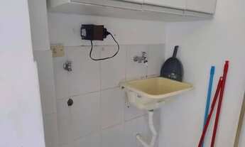 Imagem 10: Pitangueira / Lauro de Freitas