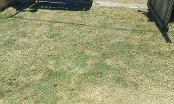 Imagem: Vendo casa em florestinha