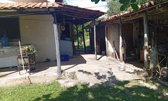 Imagem 6: VENDO!!! Um sítio de 20 hectares com ótima logística na região da cidade de Rosa