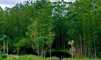 Imagem 2: 85C- CONHEÇA NOSSOS LOTEAMENTOS EM COTIA