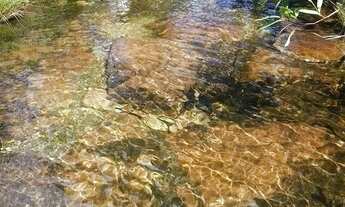 Imagem 6: Fazenda - Alto Paraíso de Goiás