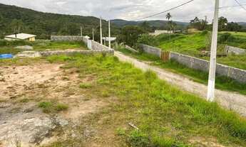 Imagem: Terreno em região de crescimento